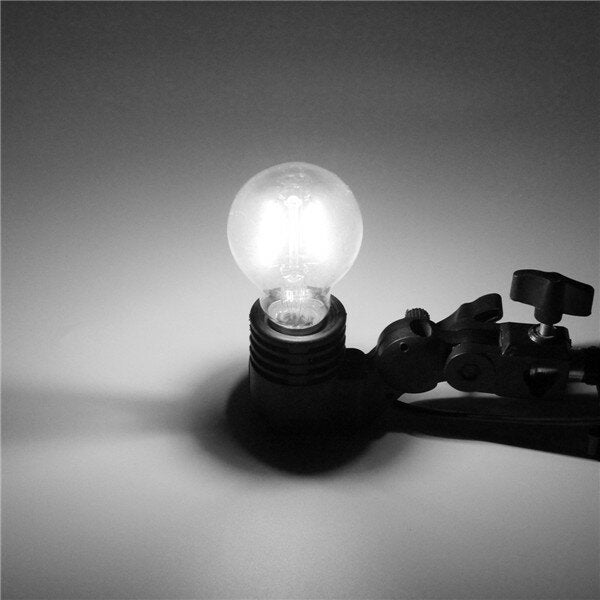 2W Warm White/ White Filament LED Dimmable Lamp AC220V/110V