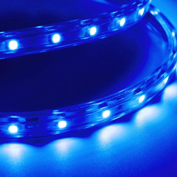 10M 35W Waterproof IP67 SMD 3528 600 LED Strip Rope Light Christmas Party Outdoor AC 220V