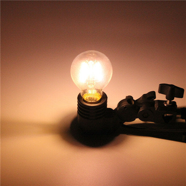 2W Warm White/ White Filament LED Dimmable Lamp AC220V/110V