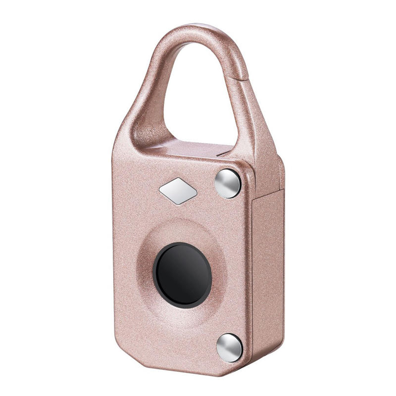 Anti-theftl Electronic Smart Fingerprint Padlock Outdoor Travel Suitcase Bag Lock