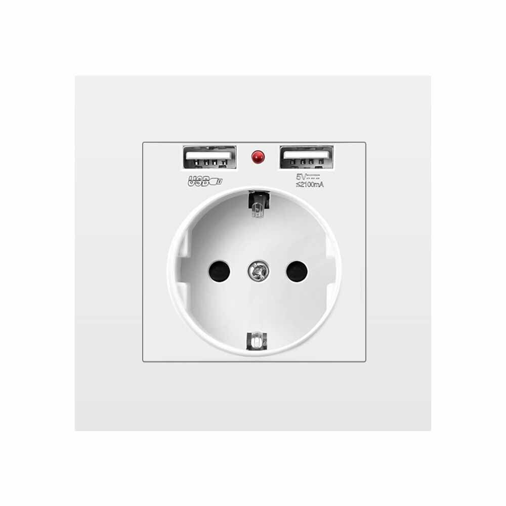 EU Power Socket with Dual USB Port 16A 250V PC Panel 86mm x 86mm