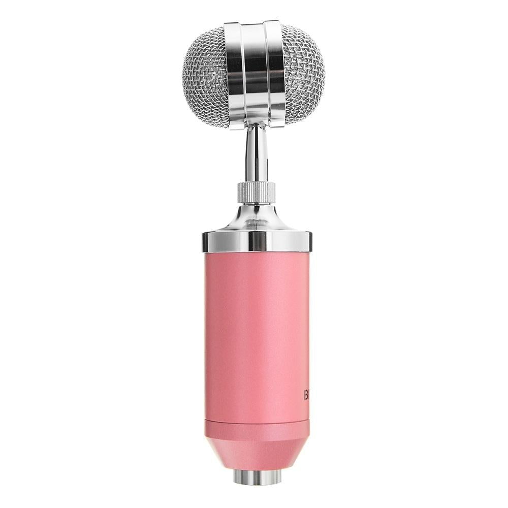 Studio Recording Condenser Microphone Metal Shock Mount for ASMR