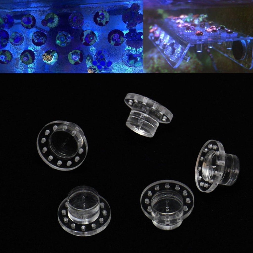 5pcs Bag Acrylic Marine Aquarium Coral Frag Plugs Kits Reef Fish Tank