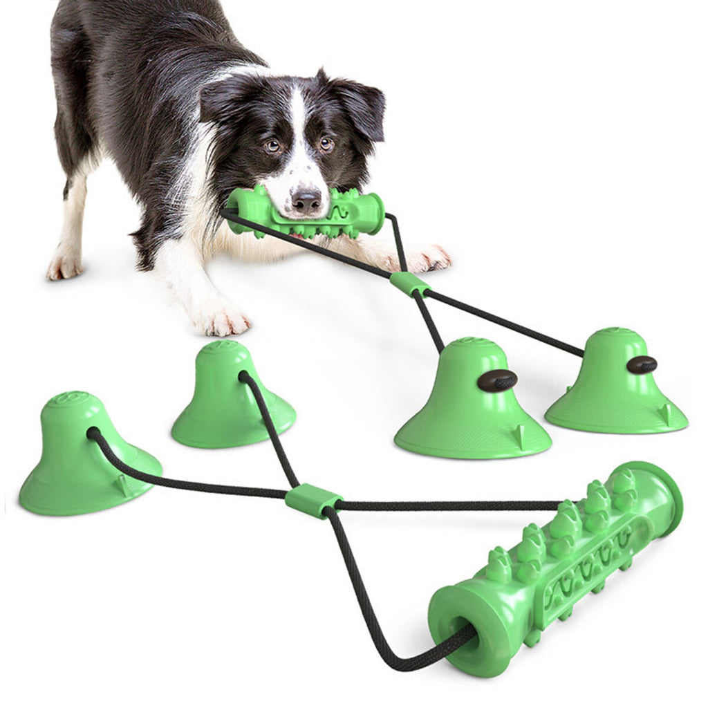 Pet Molar Bite Elastic Ropes Tooth Cleaning Chewing Suction Cup Dog Toys