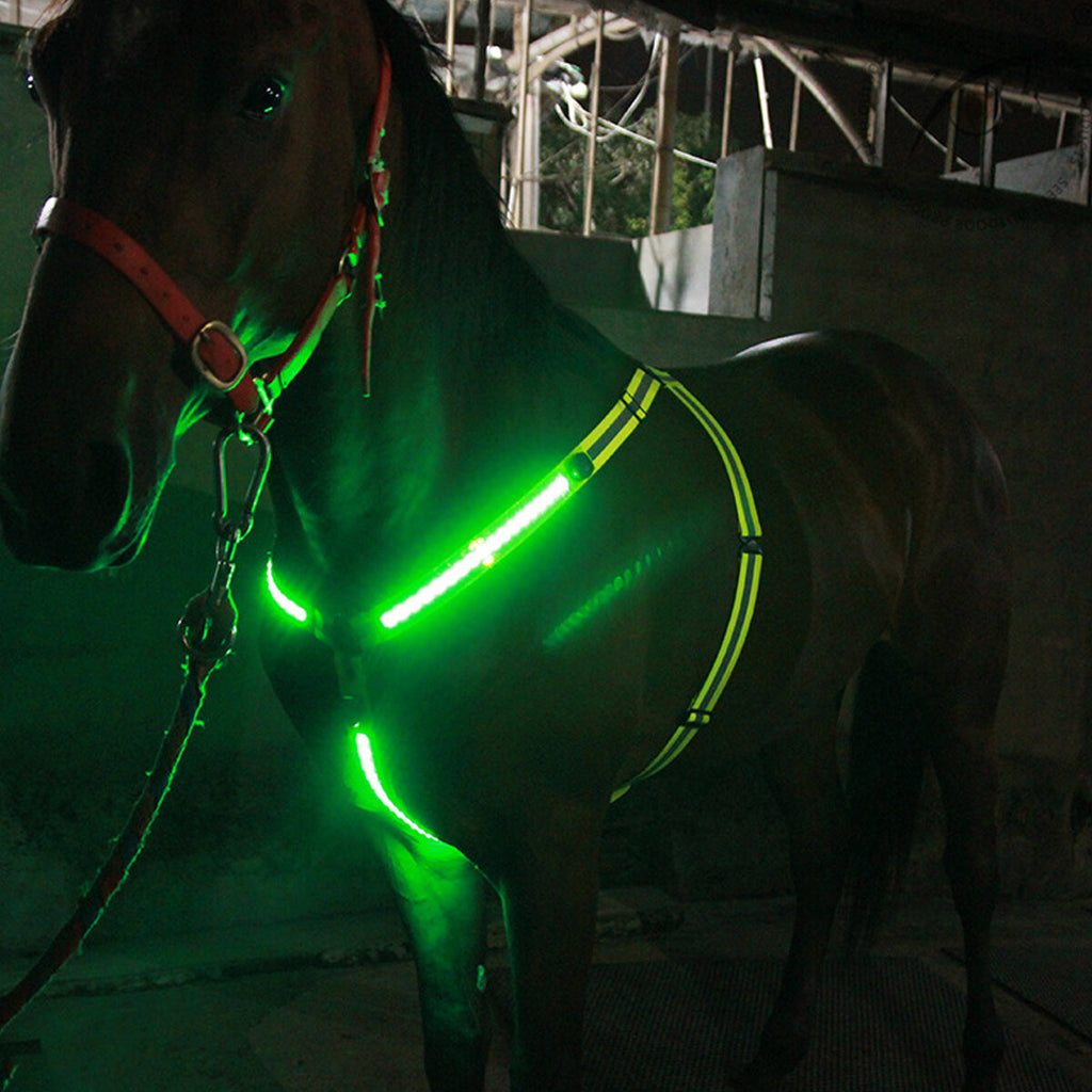 1 Pcs Horse LED Flashing Light Night Horse Chest Belt Luminous Lamp Equestrian Equipment