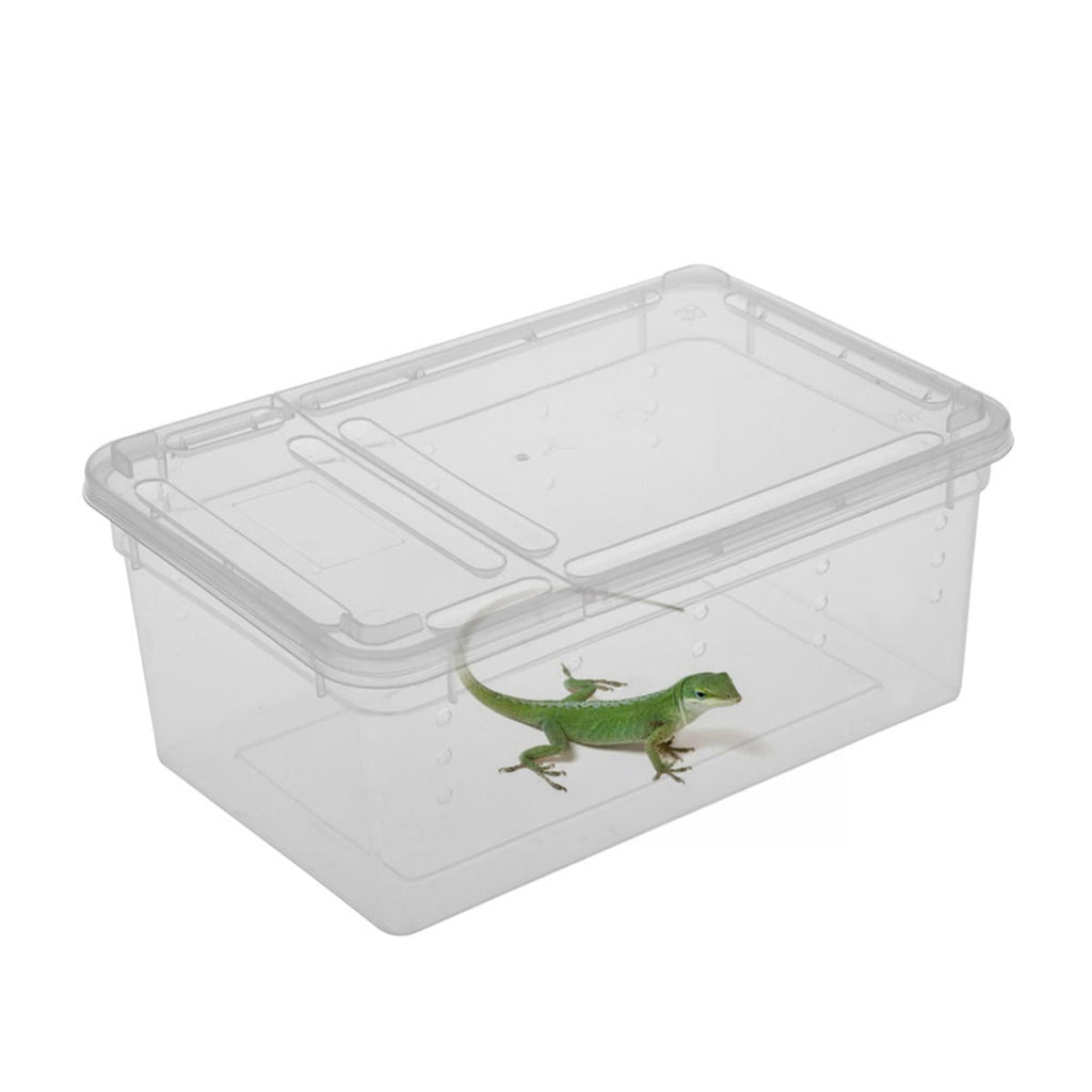 Transparent Plastic Box Insect Reptile Transport Breeding Live Food Feeding Box Parts Storage Box