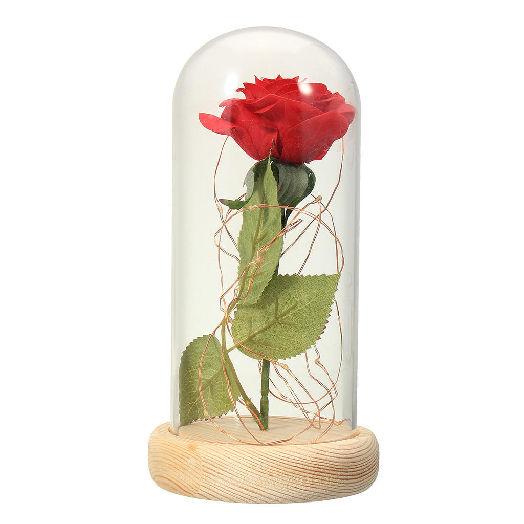 Red Rose Lights Decorations Beauty Enchanted Preserved Red Fresh Rose Glass Cover with LED Light