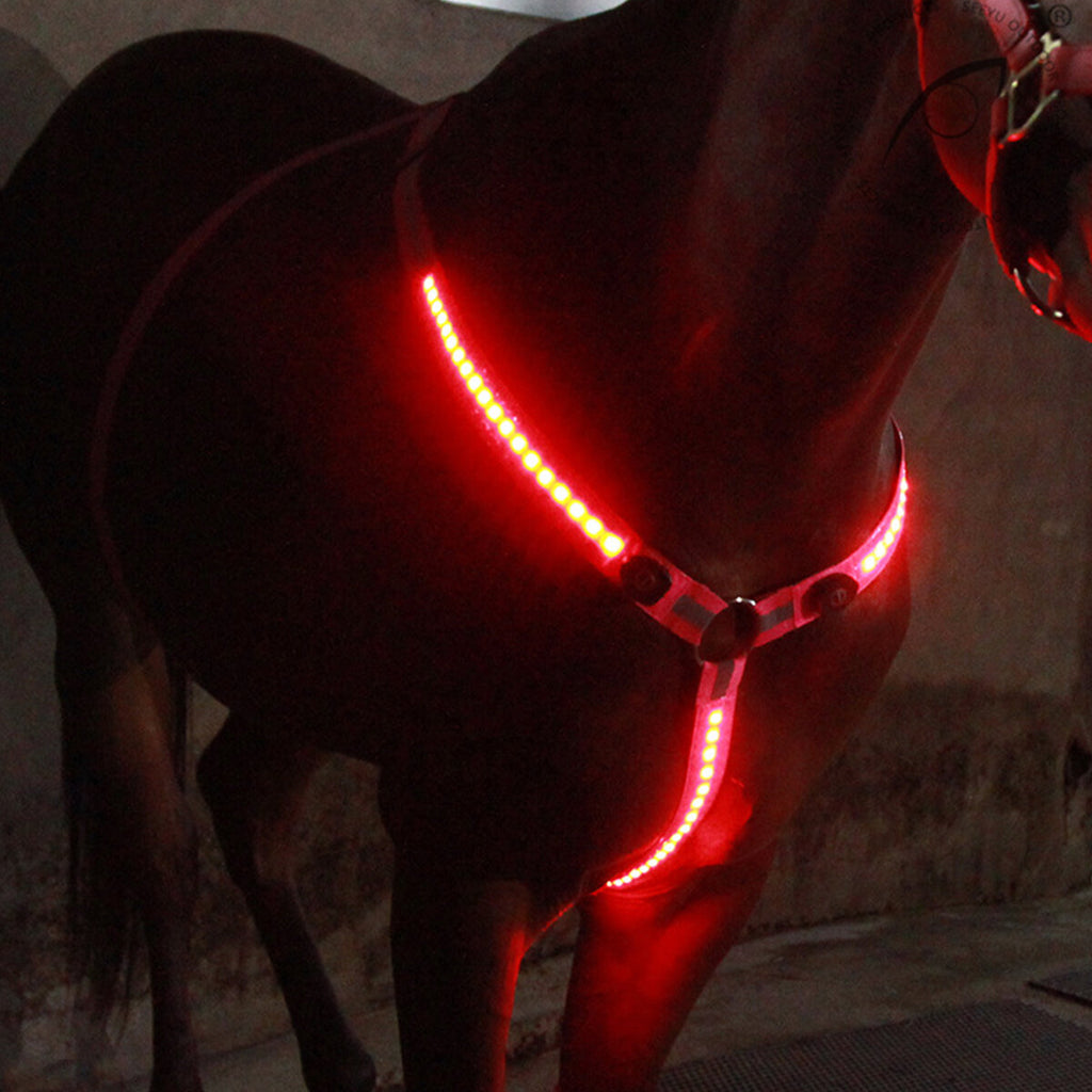 1 Pcs Horse LED Flashing Light Night Horse Chest Belt Luminous Lamp Equestrian Equipment