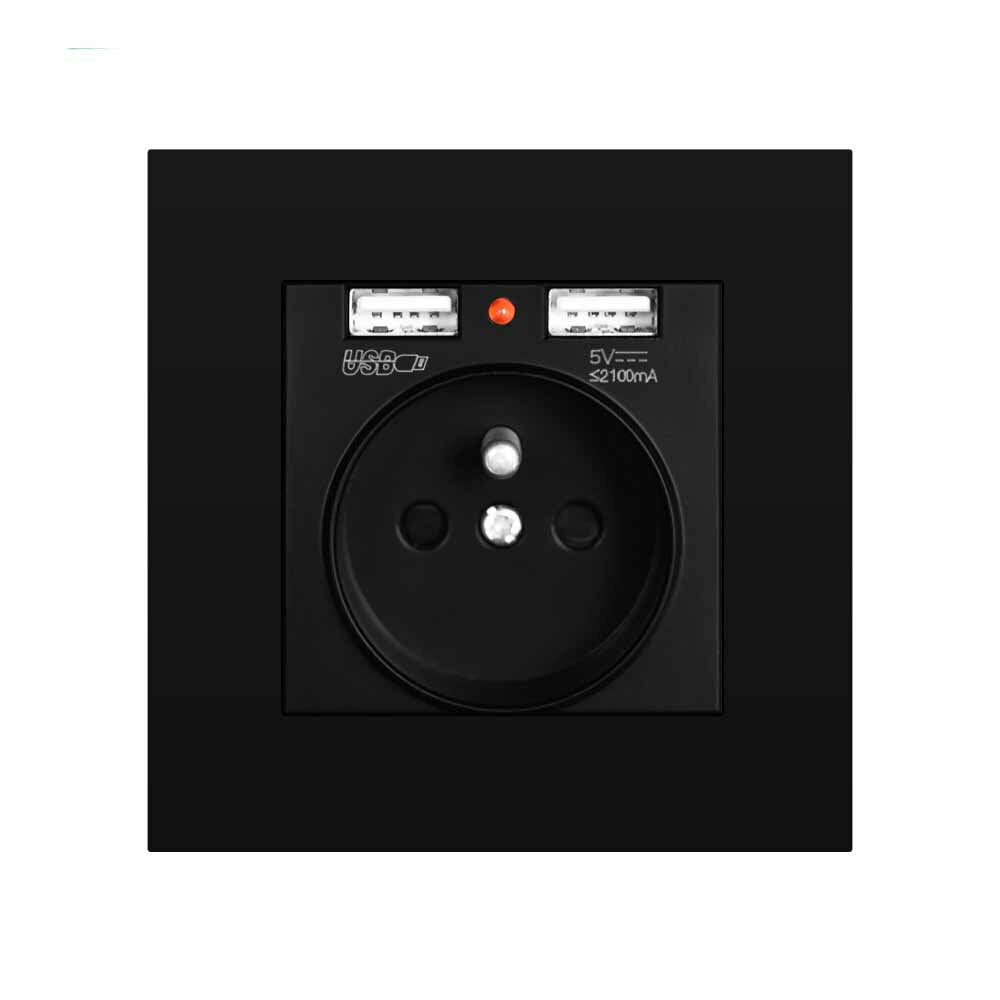 EU Power Socket with Dual USB Port 16A 250V PC Panel 86mm x 86mm