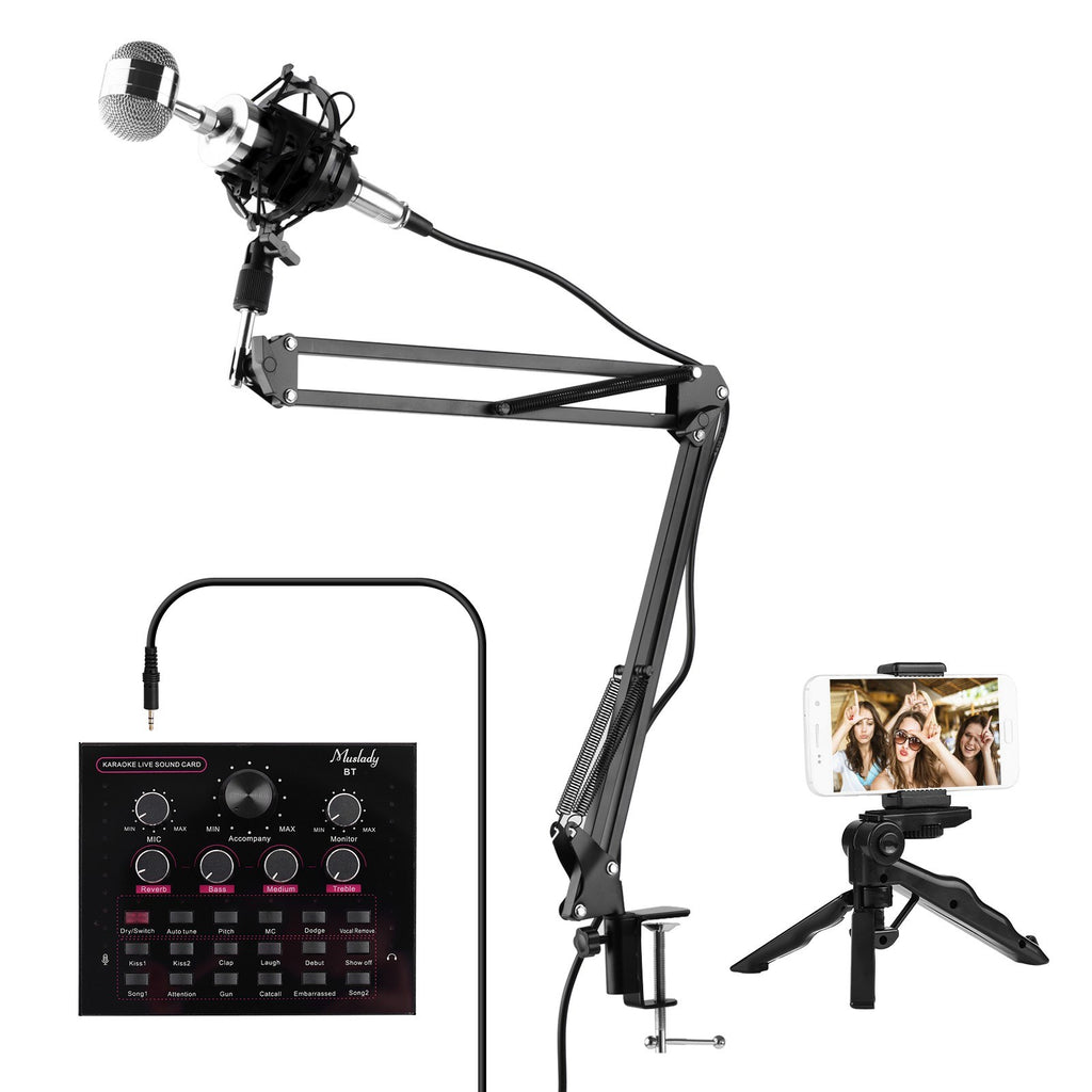 Live Sound Card + Professional Condenser Microphone Kit